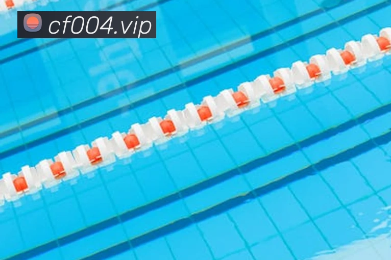 奖项证书